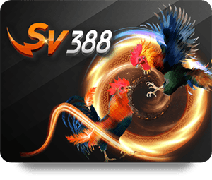 Exclusive BK8 Code Free Deals You Shouldn’t Miss